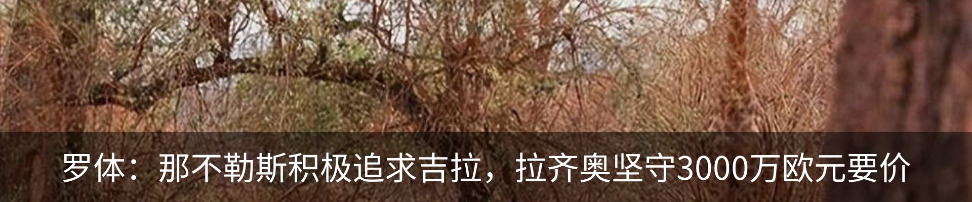 新闻中心